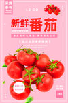 番茄