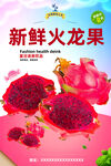 火龙果