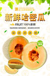 哈密瓜