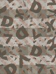字母