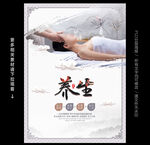 养生海报