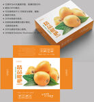 枇杷包装 水果礼盒