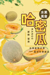 哈密瓜