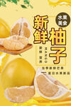 柚子