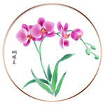蝴蝶兰