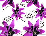 百合花