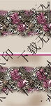 豹纹