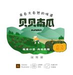 贝贝南瓜 插画