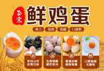 鲜鸡蛋