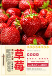 草莓