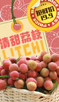 荔枝海报 水果挂画