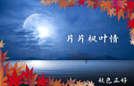 红枫