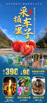 采摘车厘子旅游海报