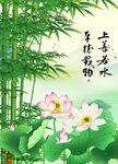 荷花图
