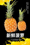 菠萝
