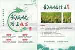 水稻单页