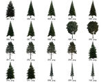免扣高清景观树国外植物素材