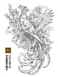 凤凰矢量花纹