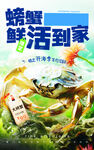 大闸蟹海报