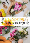 去有春天的地方浪