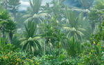 美式庭院热带植物艺术背景墙