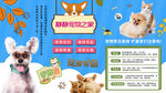 宠物之家背景墙