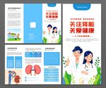 肾脏病日三折页