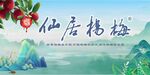 国风山水杨梅海报
