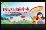 预防野生菌中毒