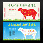 羊肉分割图