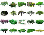 高清树木花卉绿植免抠贴图   
