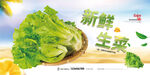 生菜