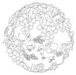 葡萄小鸡