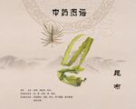 昆布海带