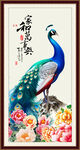 国画孔雀