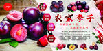 李子展板