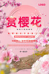樱花节