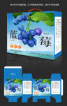 蓝莓包装图片