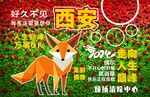 网红打卡墙