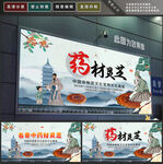灵芝