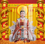 金花教主 