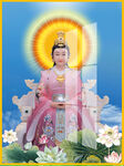 银花教主