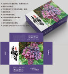 葡萄包装 水果盒子