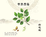 安息香