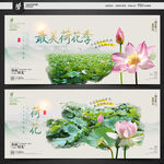 荷花