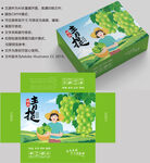 葡萄包装 水果盒子