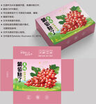 葡萄包装 水果盒子