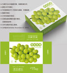 葡萄包装 水果盒子