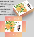 桃子包装 水蜜桃礼盒