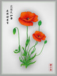 虞美人